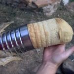 Brood uit Blik