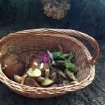 Paddenstoelen Ragout (10 personen)